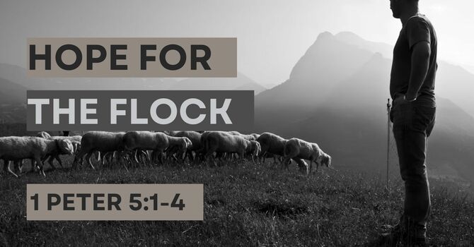 Hope for the Flock