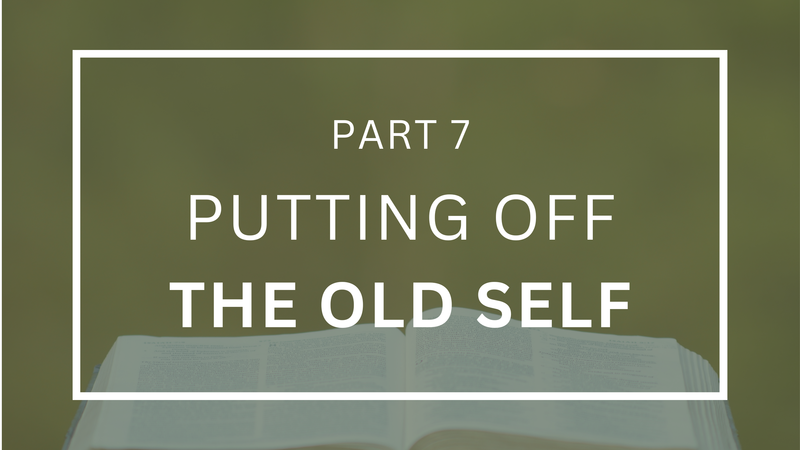 Putting Off the Old Self - Part 7
