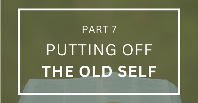 Putting Off the Old Self - Part 7