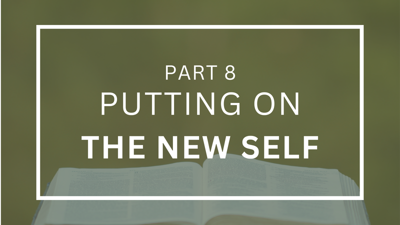 Putting On the New Self - Part 8