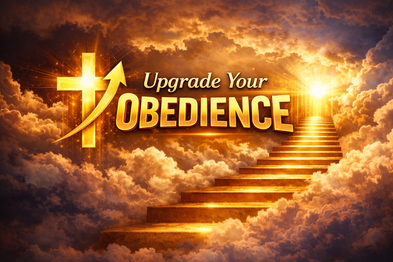 Upgrade My Obedience