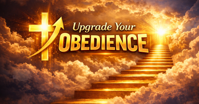 Upgrade My Obedience