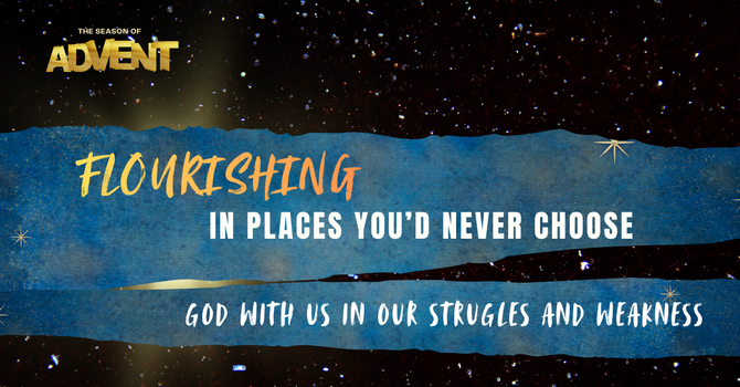 Advent III - FLOURISHING IN PLACES YOU'D NEVER CHOOSE