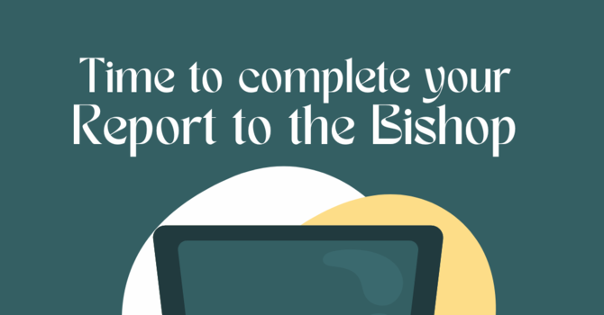 Reports to the Bishop