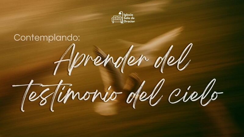 CONTEMPLANDO — Aprender del testimonio del cielo