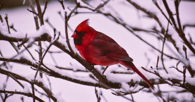 January 12, 2026 Devotion image
