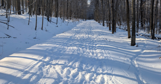 Emergency Vigil: Honouring our Neighbour