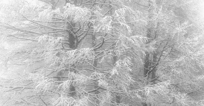 January 13, 2026 Devotion image