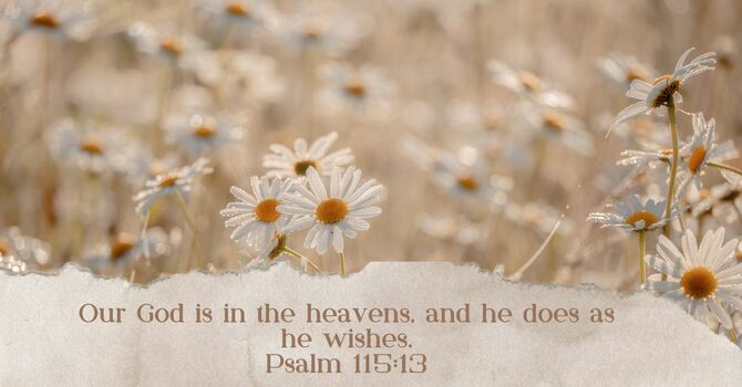 What Does the Sovereignty of God Mean?