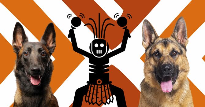 Sorcery Defeating Dogs in Malawi?