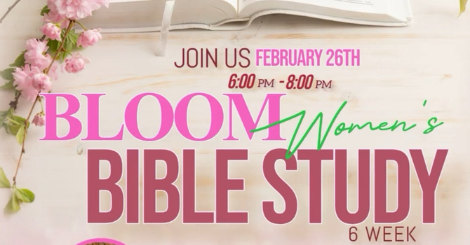 Bloom Women's Bible Study