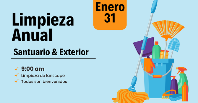 Limpieza Anual