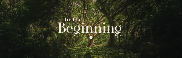 In The Beginning