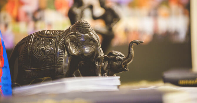 Co-Sectional Wildlife Weekend  