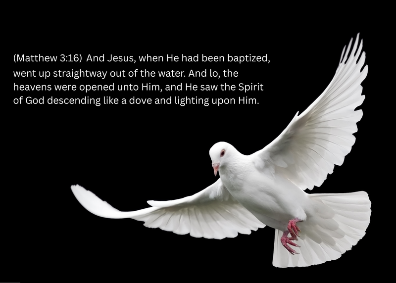 Journey Through the Word: Mark - Why Did Jesus Get Baptized?