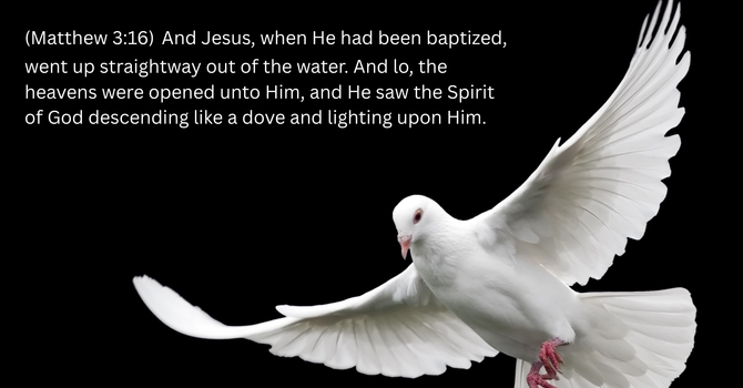 Journey Through the Word: Mark - Why Did Jesus Get Baptized?