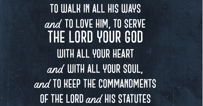 Fighter Verse | January 11, 2026 image