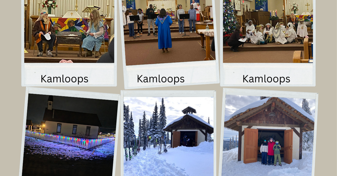 Territory Bulletin image