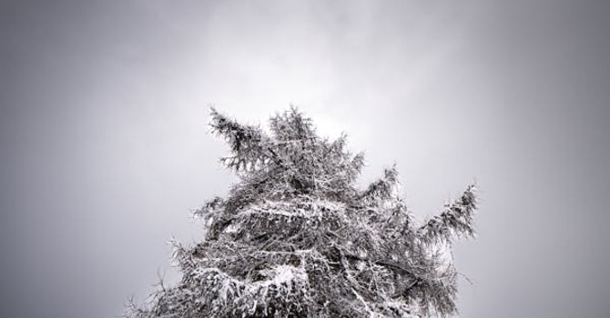 January 14, 2026 Devotion image