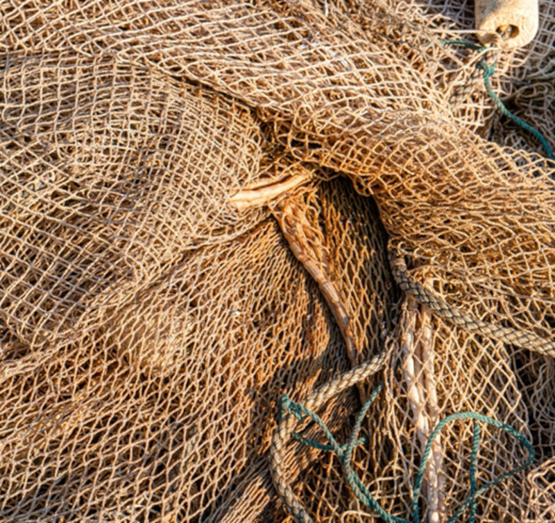 Rev. Karen's Reflection for January 18th, 2026