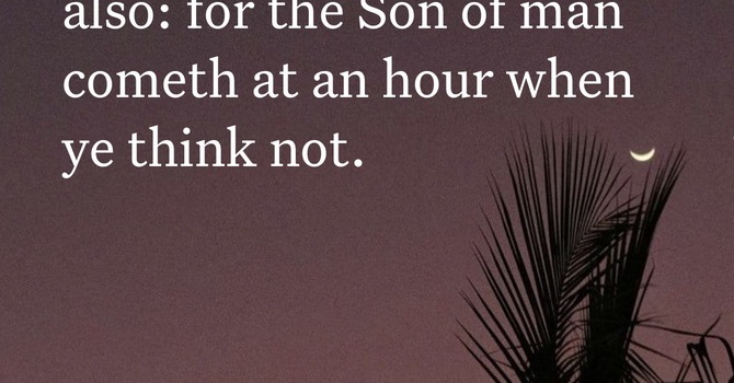 Are you really  image