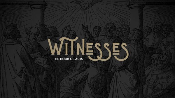 Witnesses