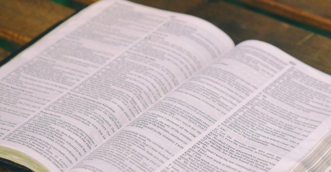 Read the Bible in One Year image