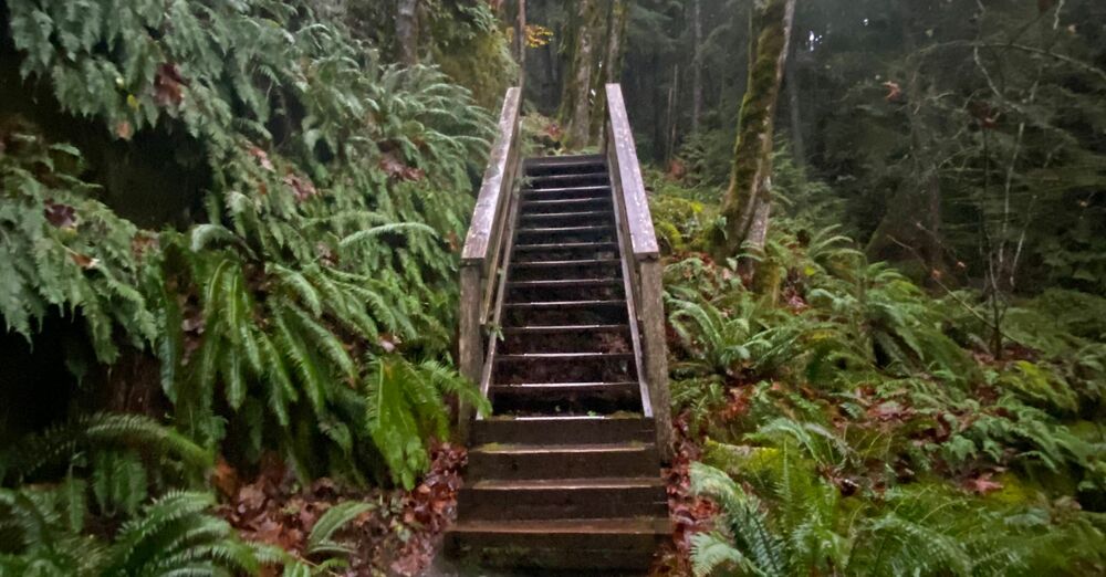 The Second Sunday after the Epiphany