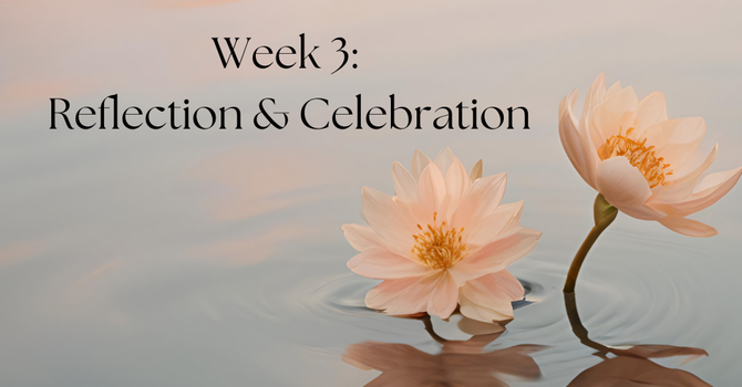 Week 3: Reflection & Celebration image