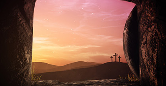 Behold Your King is Coming to You