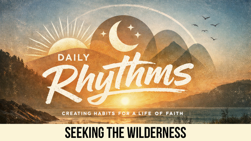 Seeking The Wilderness