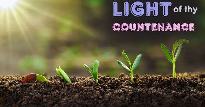 Light of thy Countenance image