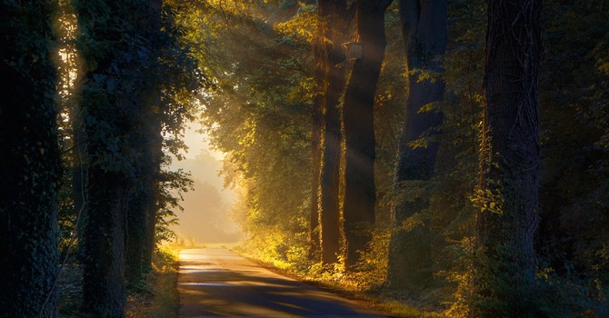 From Genesis to Exodus