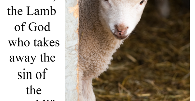 Worship Bulletins image