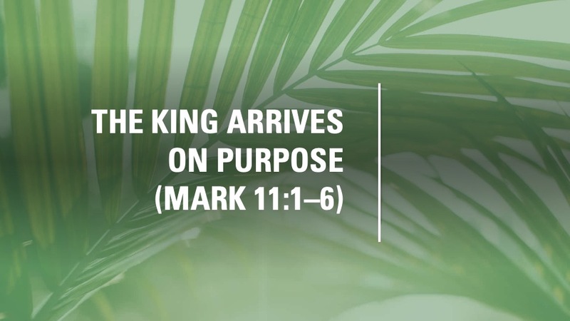 The King Enters With Purpose