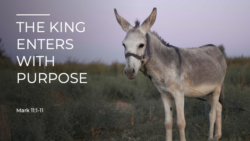 The King Enters With Purpose