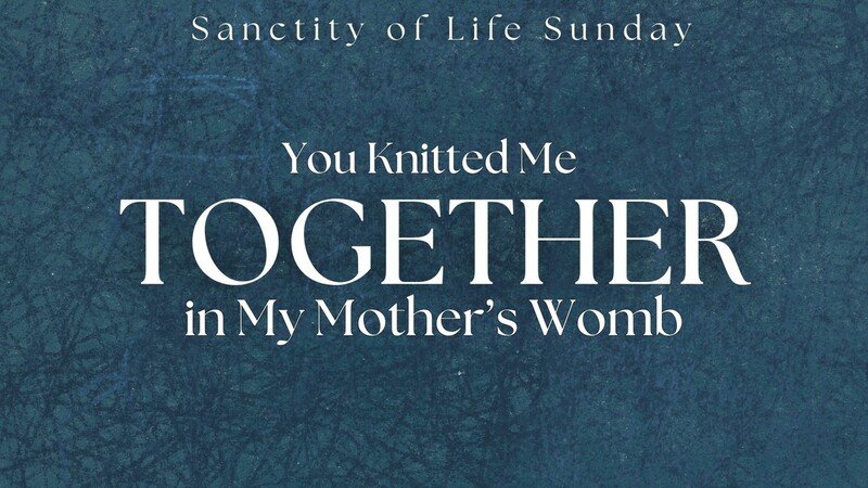 You Knitted Me Together in My Mother's Womb