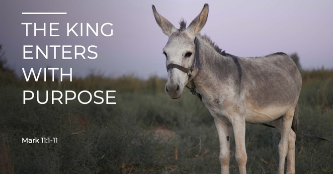 The King Enters With Purpose