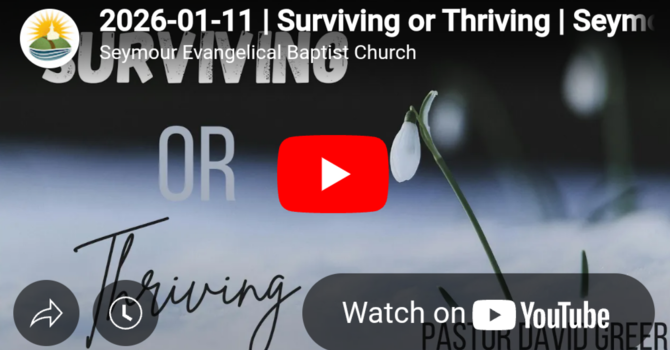Surviving or Thriving 