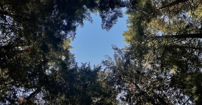 Update on Rev. Patrick