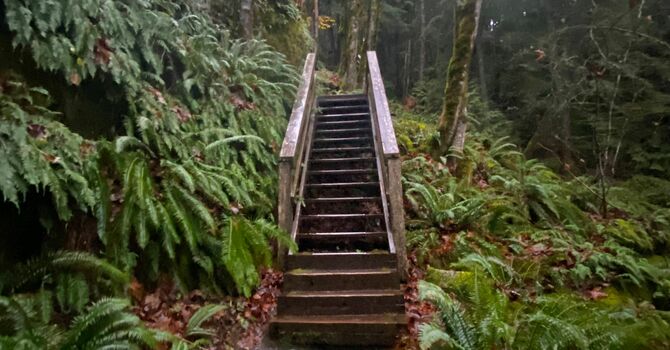 The Second Sunday after the Epiphany