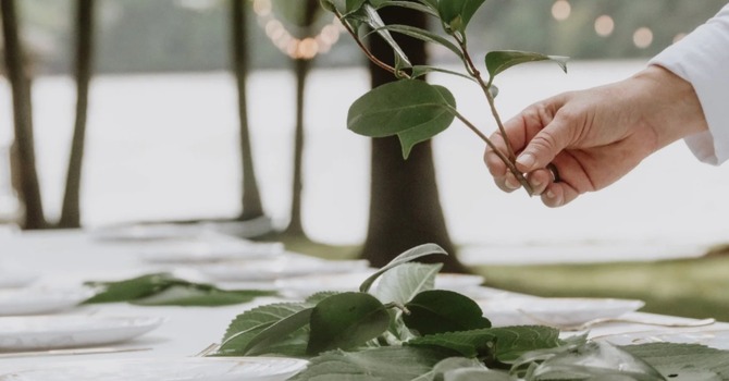 Feast Day with Sue Keddy