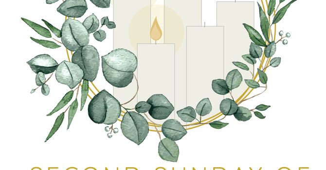 Advent II (RCL/A): “Show Me!”