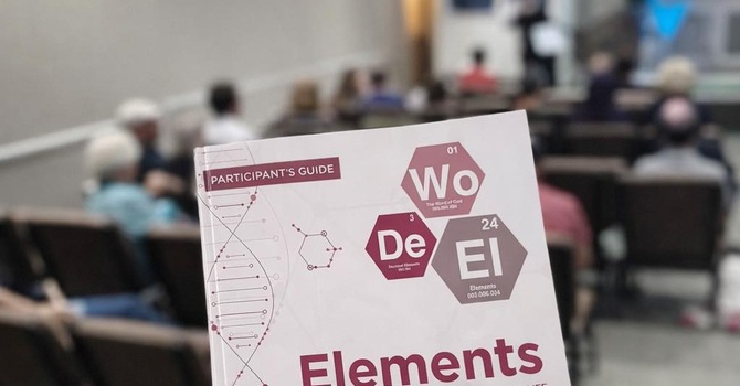 Elements - Module 3