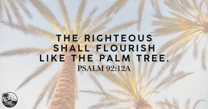 The Righteous Shall Flourish Like the Palm Tree