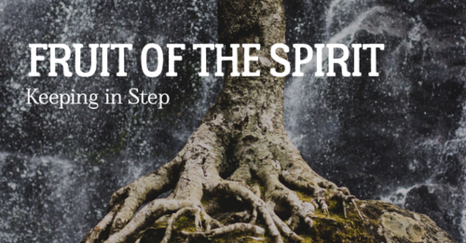 NEW Youth Sunday Morning Study: Fruit of the Spirit image