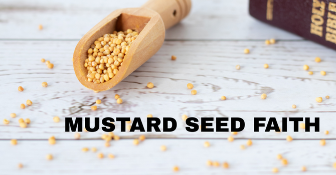 Mustard Seed Faith
