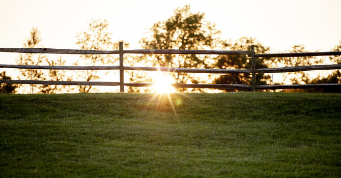 The Year of Sabbath Rest 