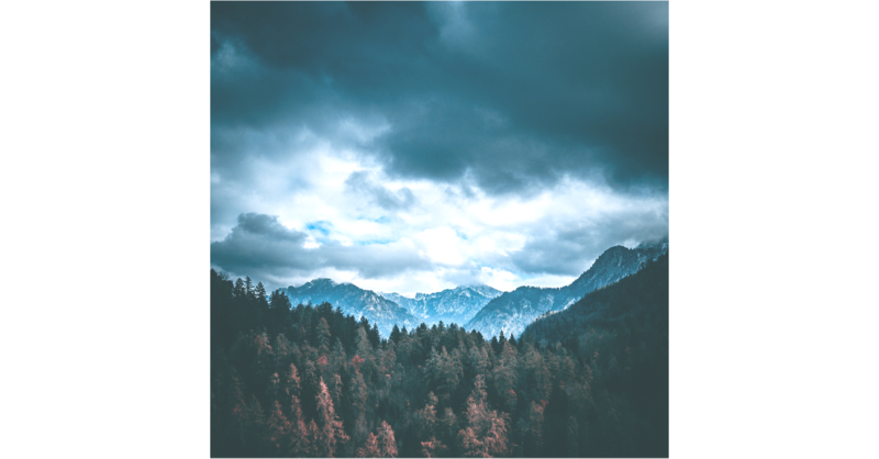 2nd Sunday after the Epiphany