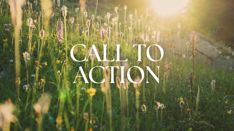 Call to Action